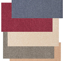 Vorwerk Passion 1004